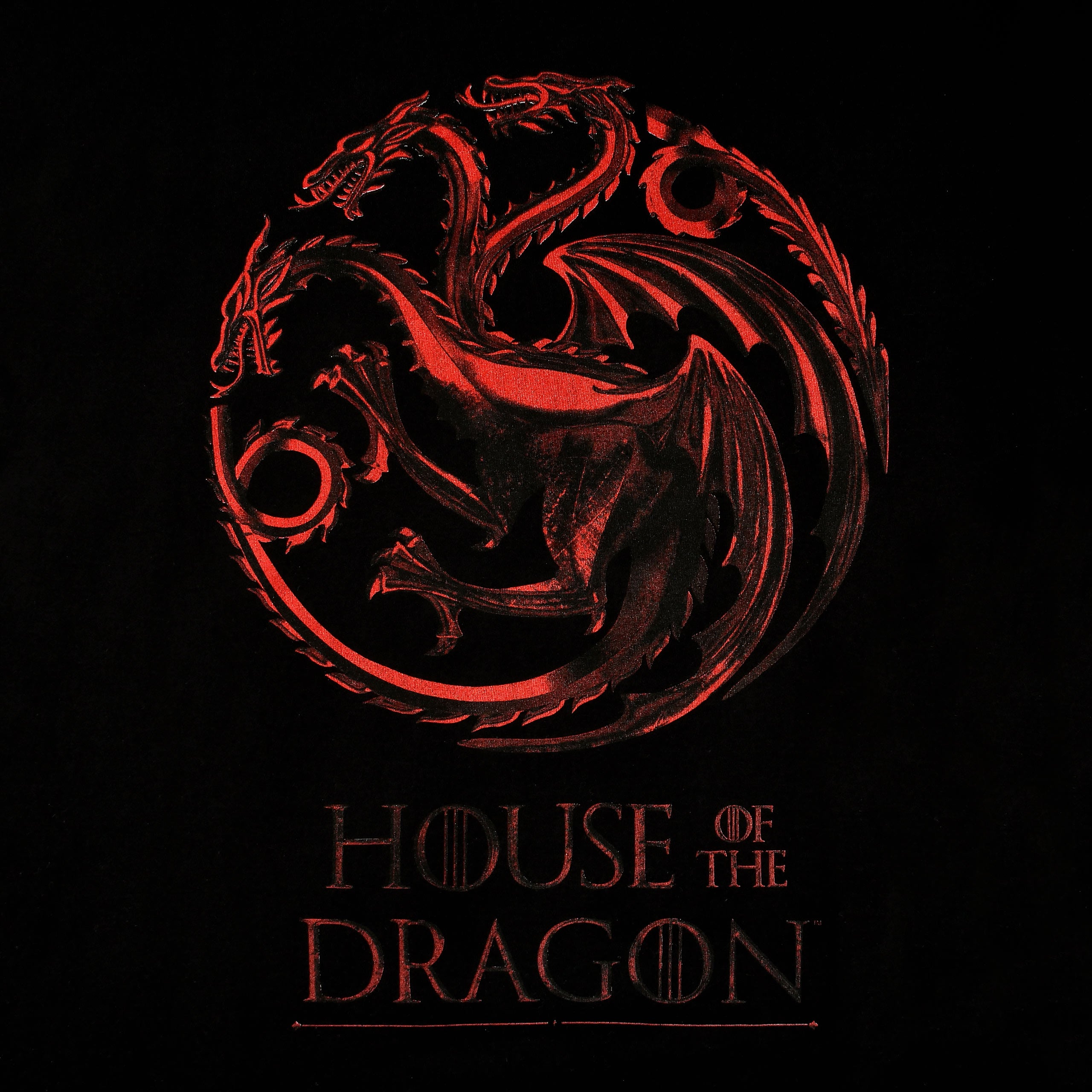 Zdjęcie produktu House of the Dragon - Koszulka z logo czarna
