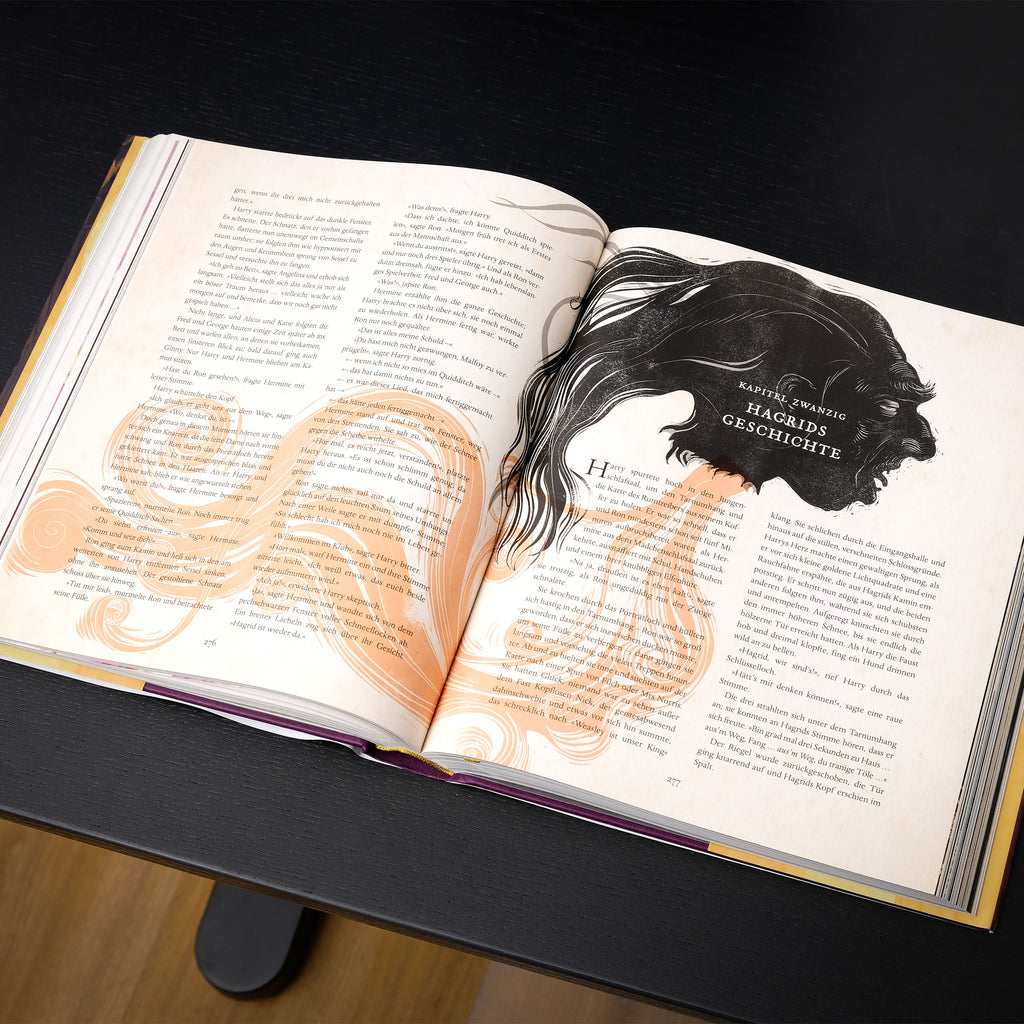 Zdjęcie produktu Harry Potter i Zakon Feniksa - Ilustrowane Wydanie Kolekcjonerskie