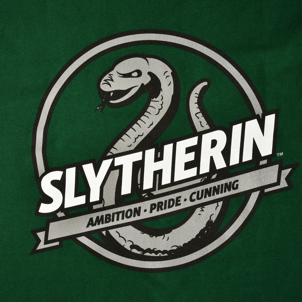 Zdjęcie produktu Koszulka Slytherin House Values zielona - Harry Potter
