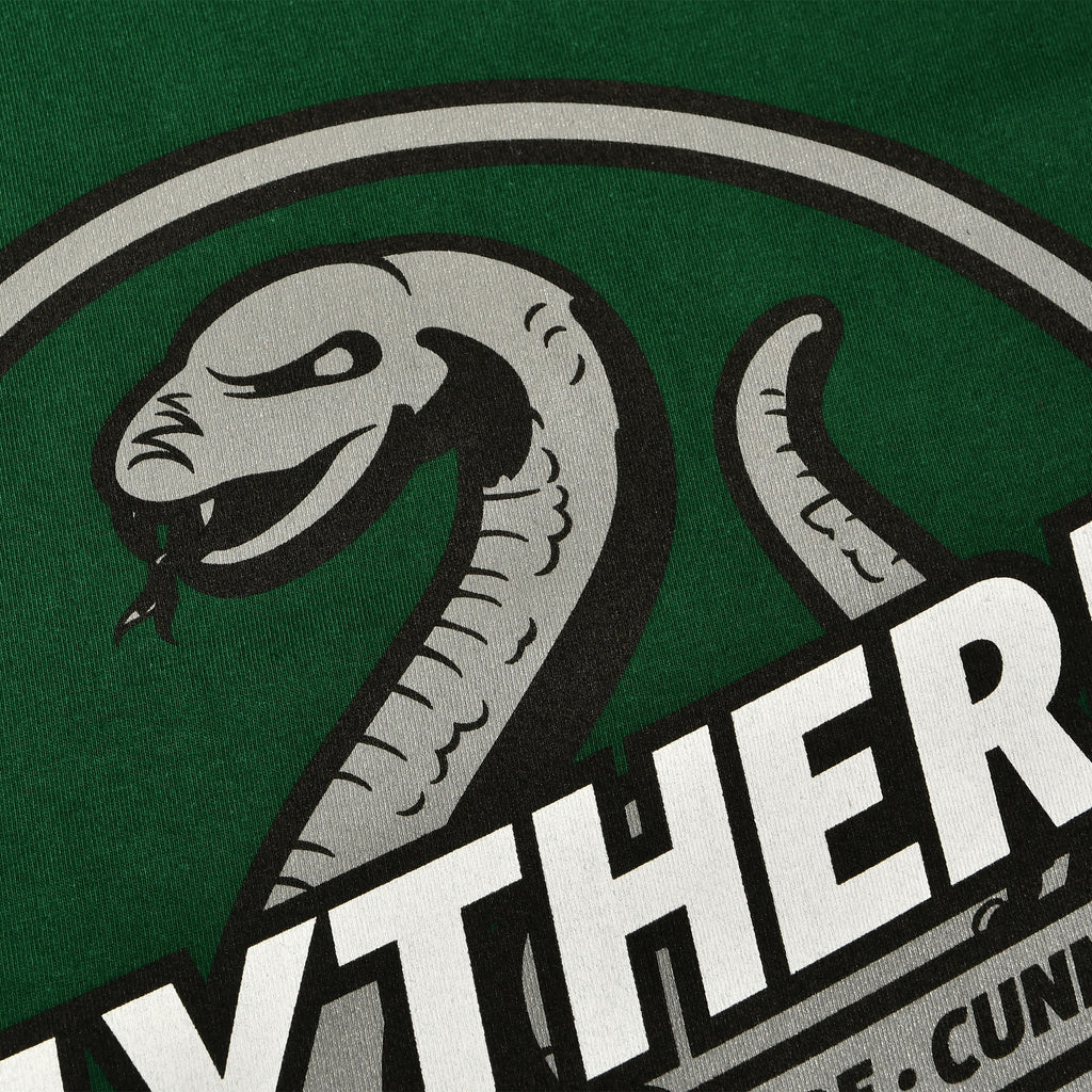 Zdjęcie produktu Koszulka Slytherin House Values zielona - Harry Potter