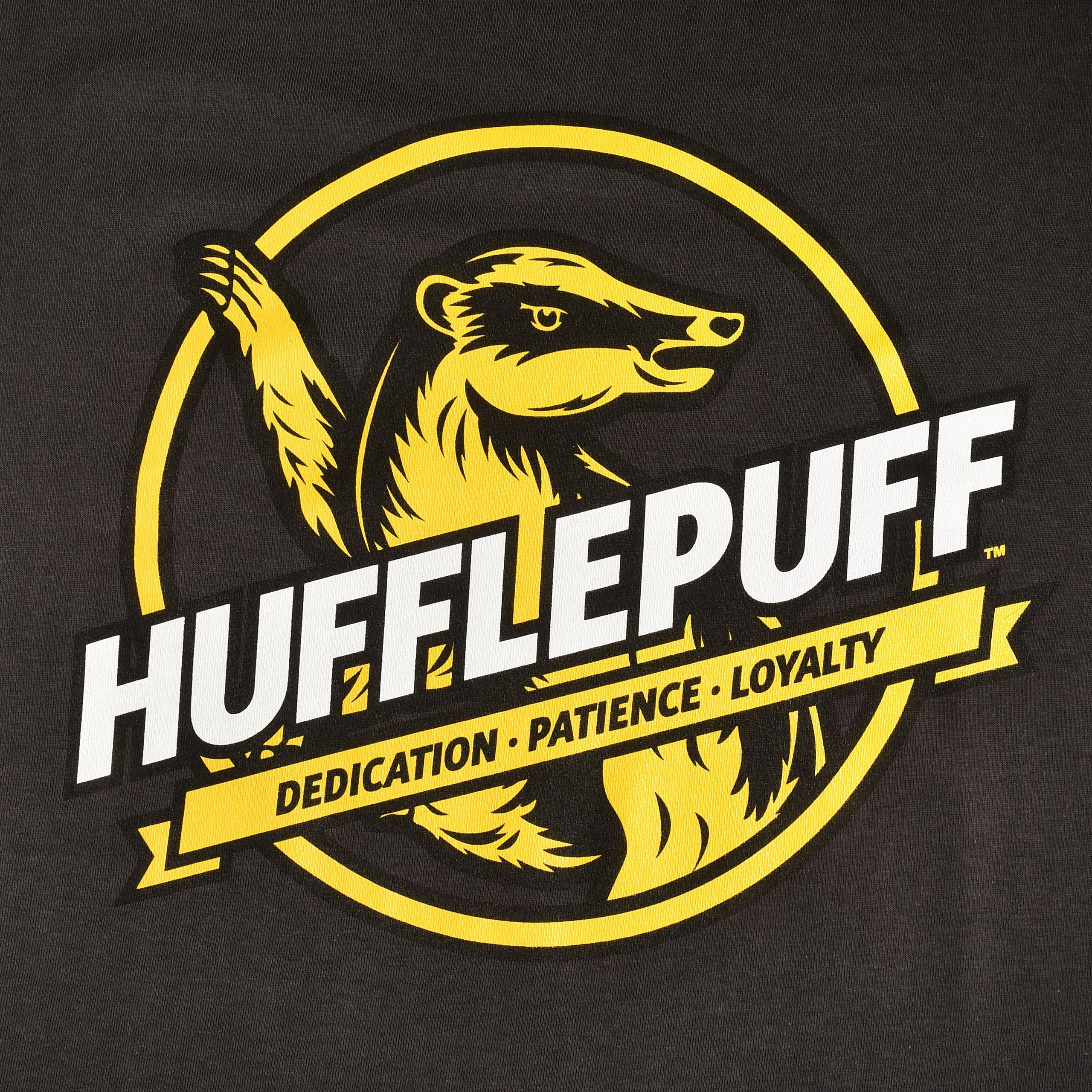 Product image Hufflepuff House Values T-Shirt Grey - Harry Potter