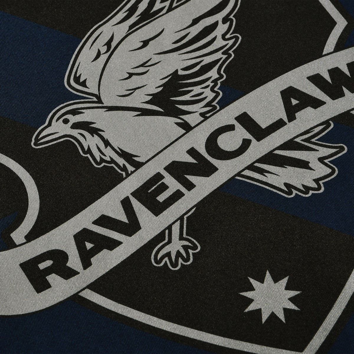 Zdjęcie produktu Koszulka Ravenclaw Logo niebieska - Harry Potter