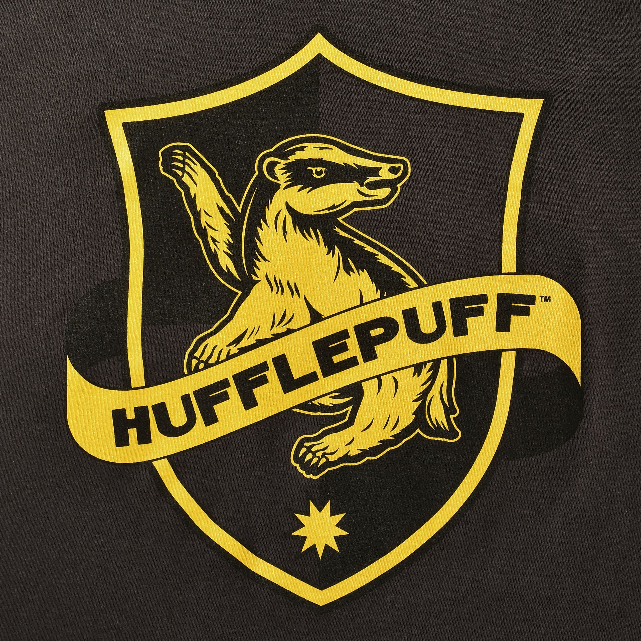Zdjęcie produktu Koszulka Hufflepuff Logo szara - Harry Potter