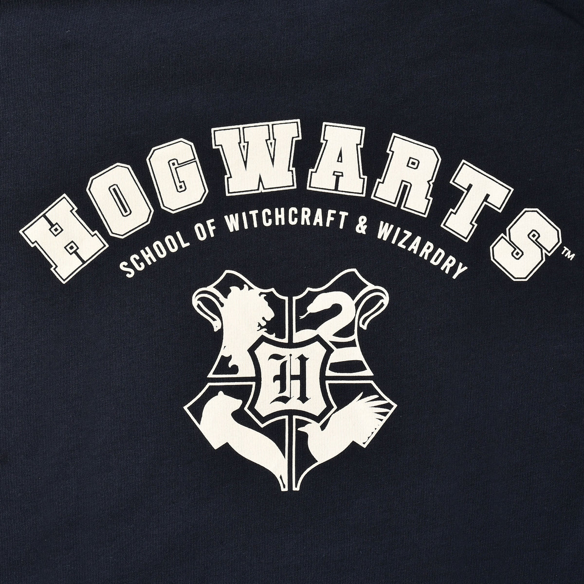 Zdjęcie produktu Koszulka Hogwarts School niebieska - Harry Potter