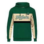 Zdjęcie produktu Harry Potter - Bluza z kapturem Team Slytherin