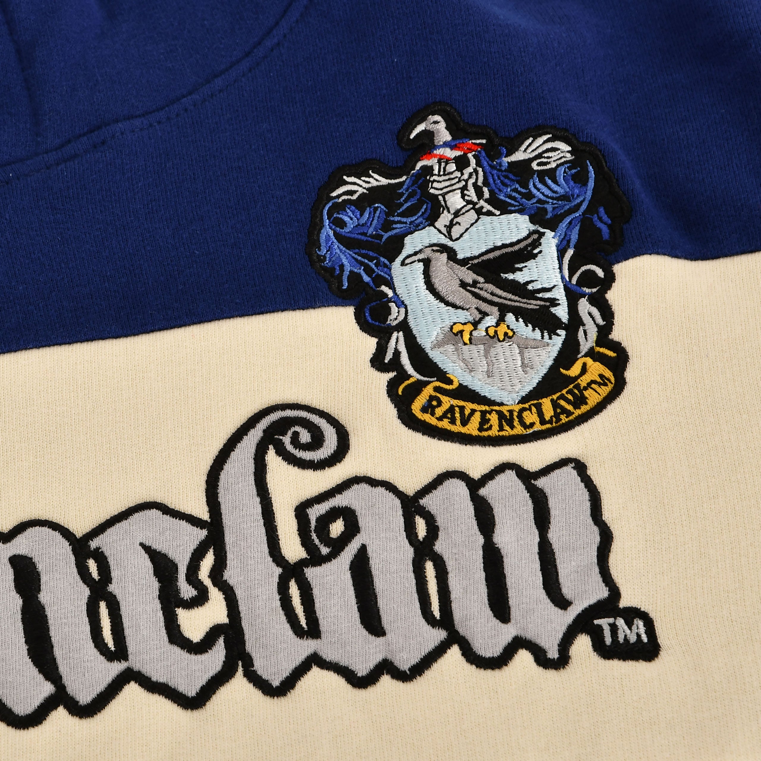 Zdjęcie produktu Harry Potter - Team Ravenclaw Bluza z Kapturem