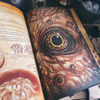 Zdjęcie produktu Necronomnomnom - Rytuały i Przepisy
