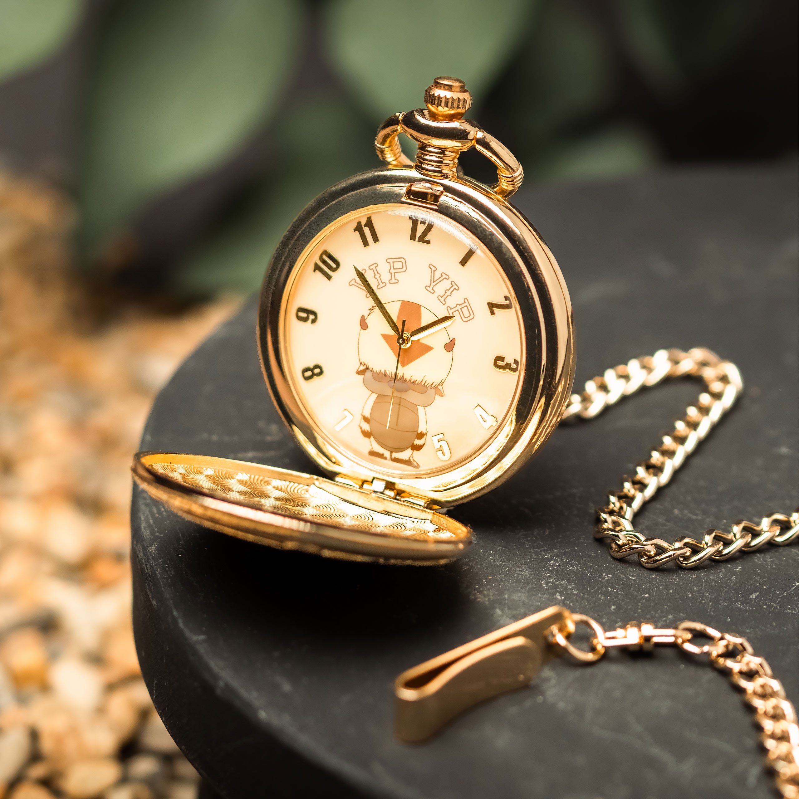 Product image Avatar The Last Airbender - Appa Pocket Watch