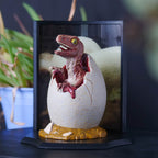 Product image Jurassic Park - Baby Velociraptor Egg Diorama Figure