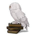 Zdjęcie produktu Hedwiga 4D Model Konstrukcyjny - Harry Potter