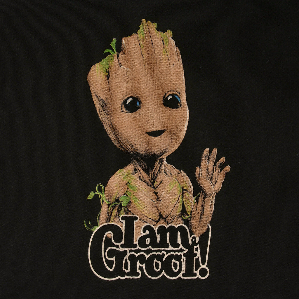 Zdjęcie produktu Guardians of the Galaxy - I Am Groot Hoodie czarny