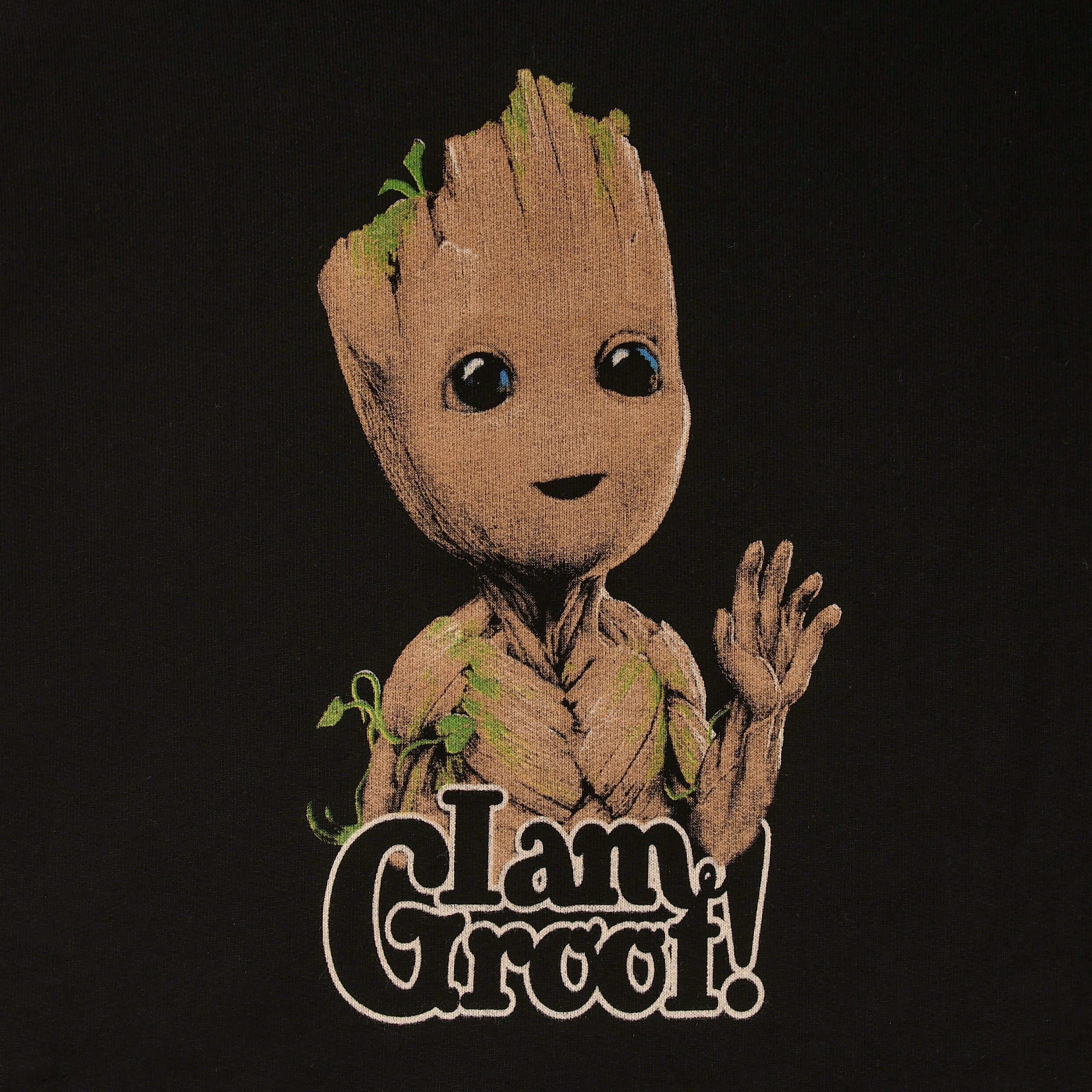 Zdjęcie produktu Guardians of the Galaxy - I Am Groot Hoodie czarny