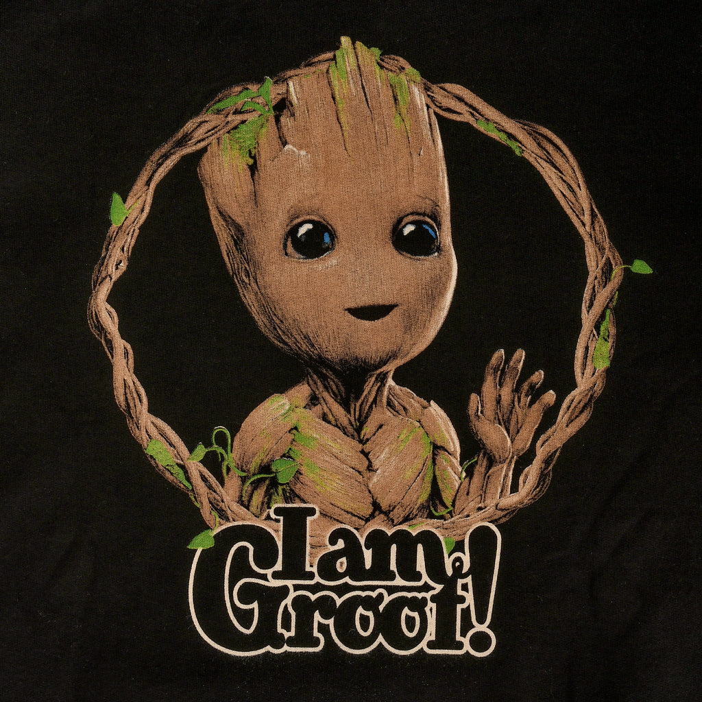 Zdjęcie produktu Guardians of the Galaxy - I Am Groot Hoodie czarny