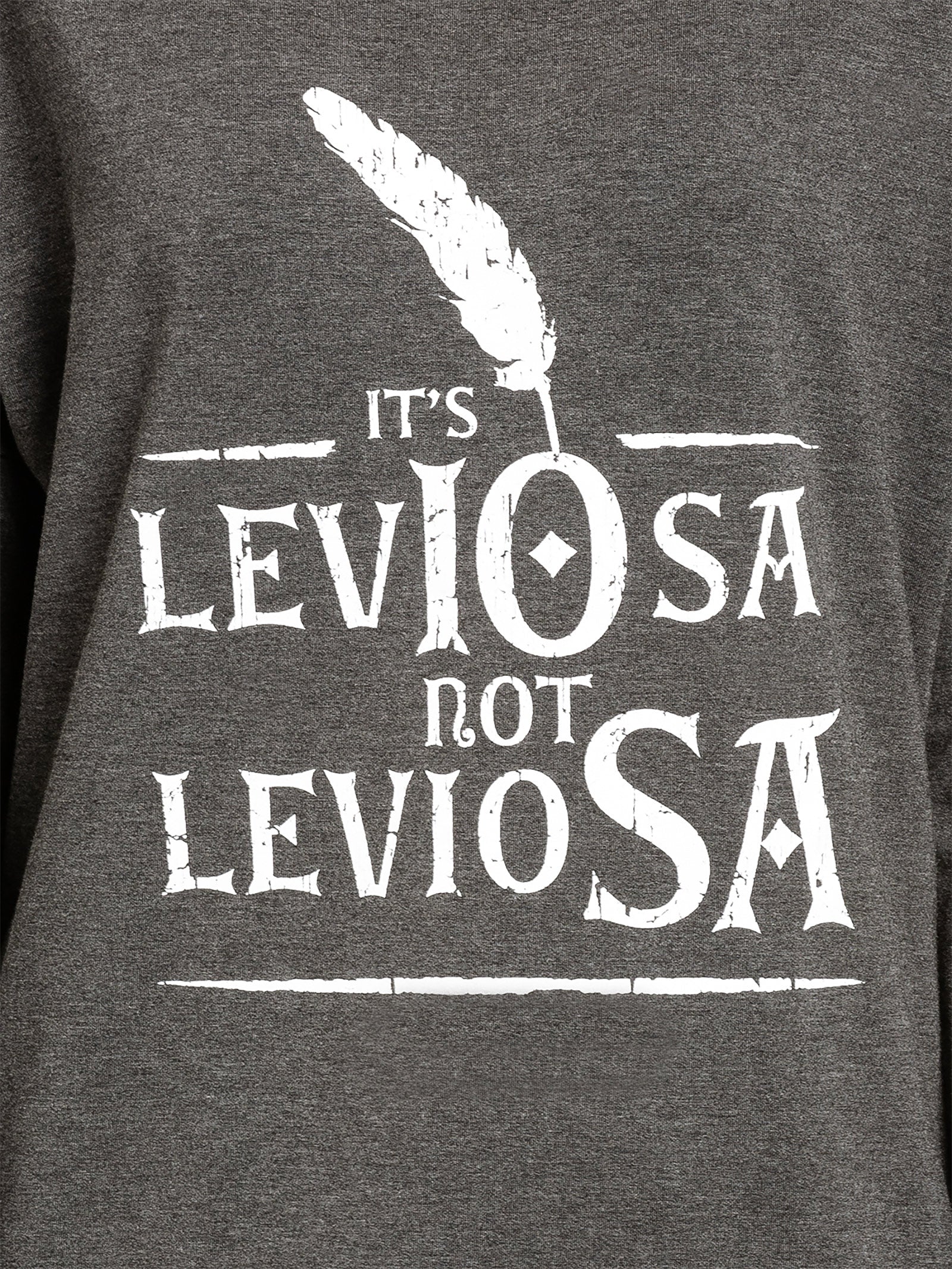 Zdjęcie produktu Harry Potter - Leviosa Longsleeve damski szary