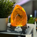 Zdjęcie produktu Jurassic Park - Lampa stołowa Mosquito Amber