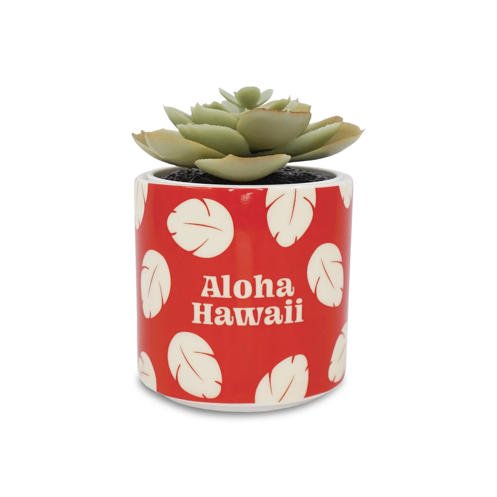Zdjęcie produktu Lilo & Stitch - Aloha Hawaii Mini Doniczka