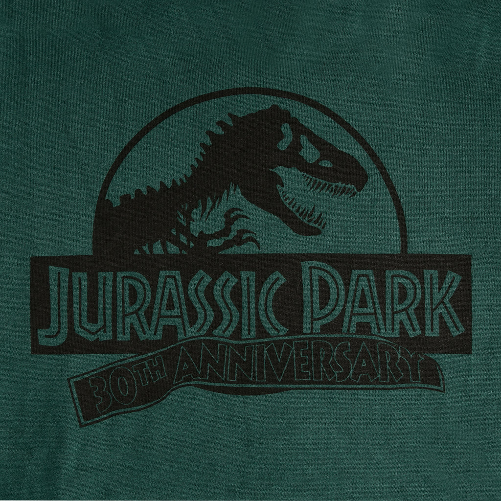 Zdjęcie produktu Jurassic Park - Isla Nublar Bluza z kapturem zielona