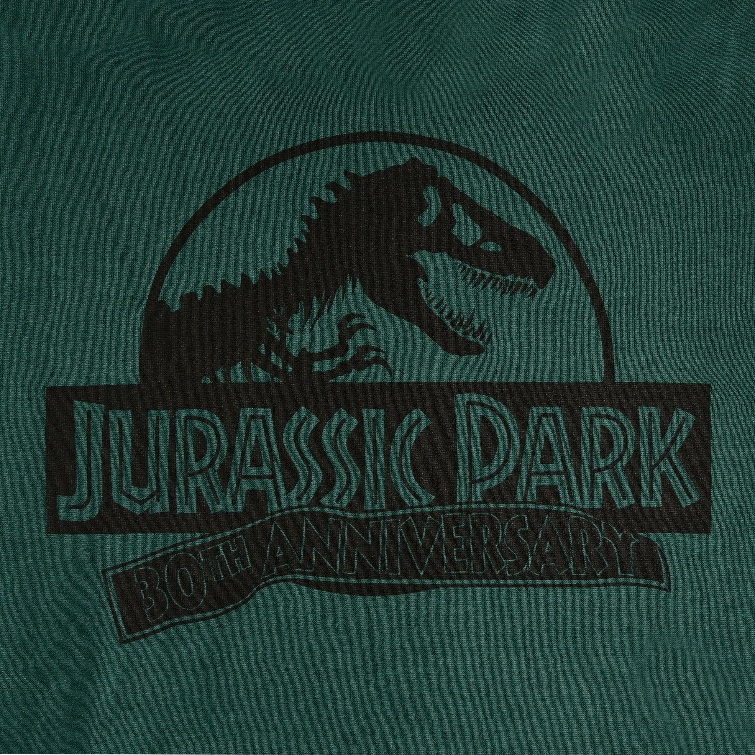 Zdjęcie produktu Jurassic Park - Isla Nublar Bluza z kapturem zielona