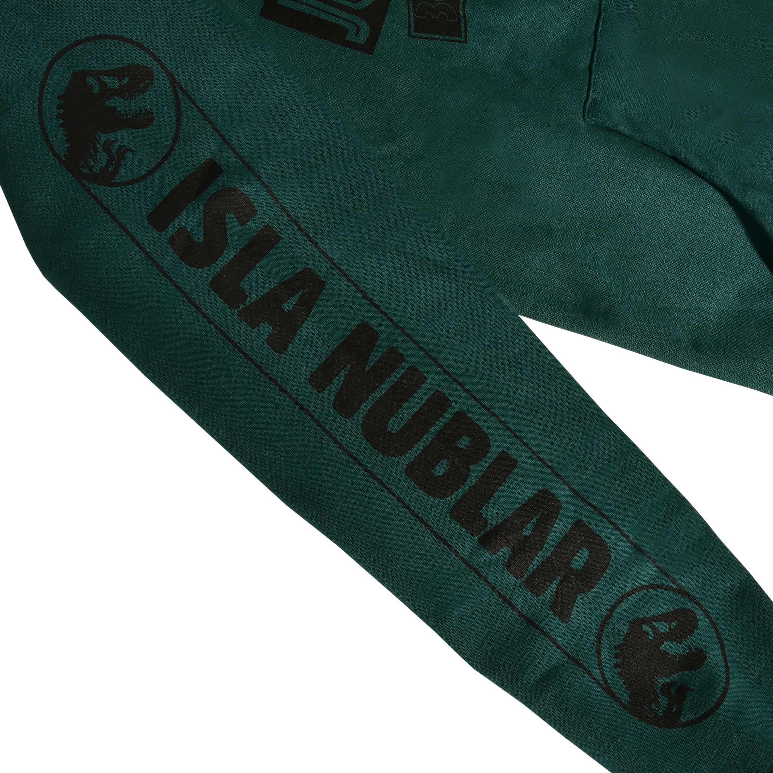 Zdjęcie produktu Jurassic Park - Isla Nublar Bluza z kapturem zielona