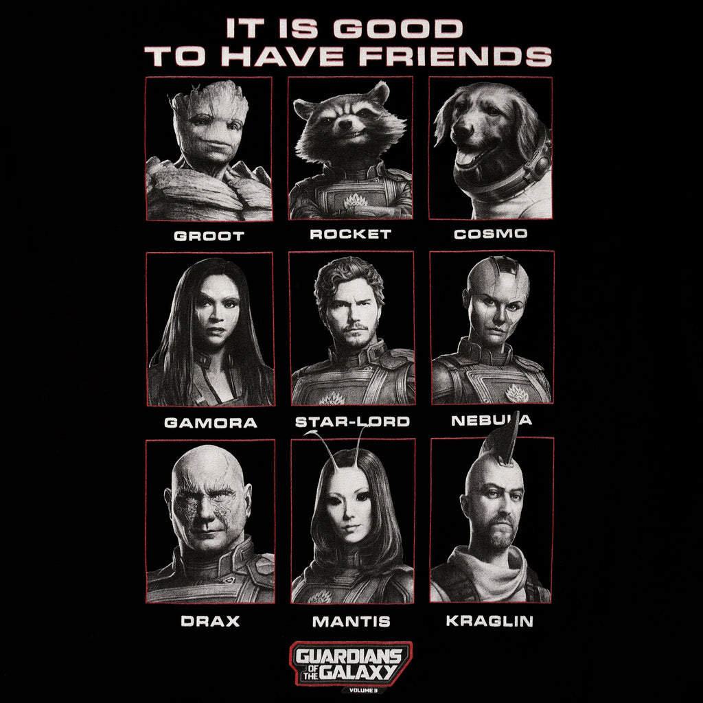 Zdjęcie produktu Guardians of the Galaxy - Koszulka Good Friends czarna