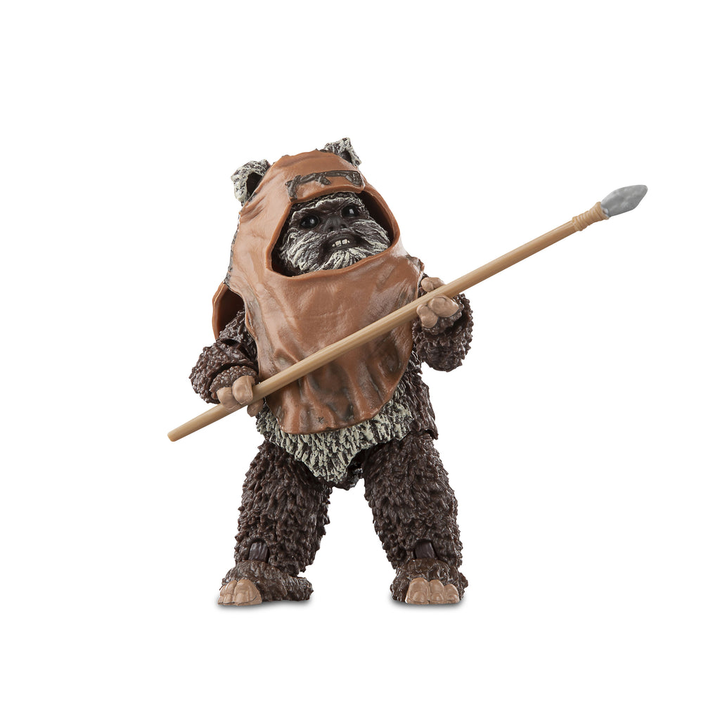 Product image Star Wars - Wicket Black Series Action Figure