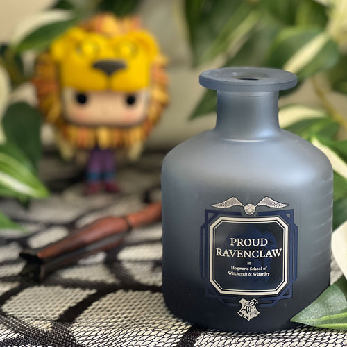 Zdjęcie produktu Harry Potter - Dumny Krukon Wazon