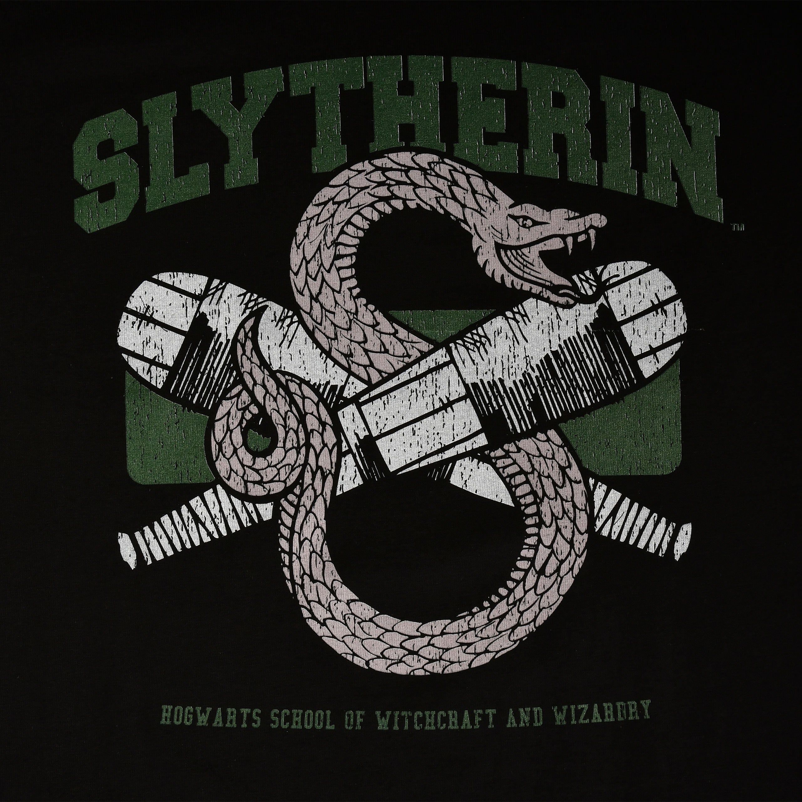 Zdjęcie produktu Slytherin Quidditch College T-Shirt czarne - Harry Potter