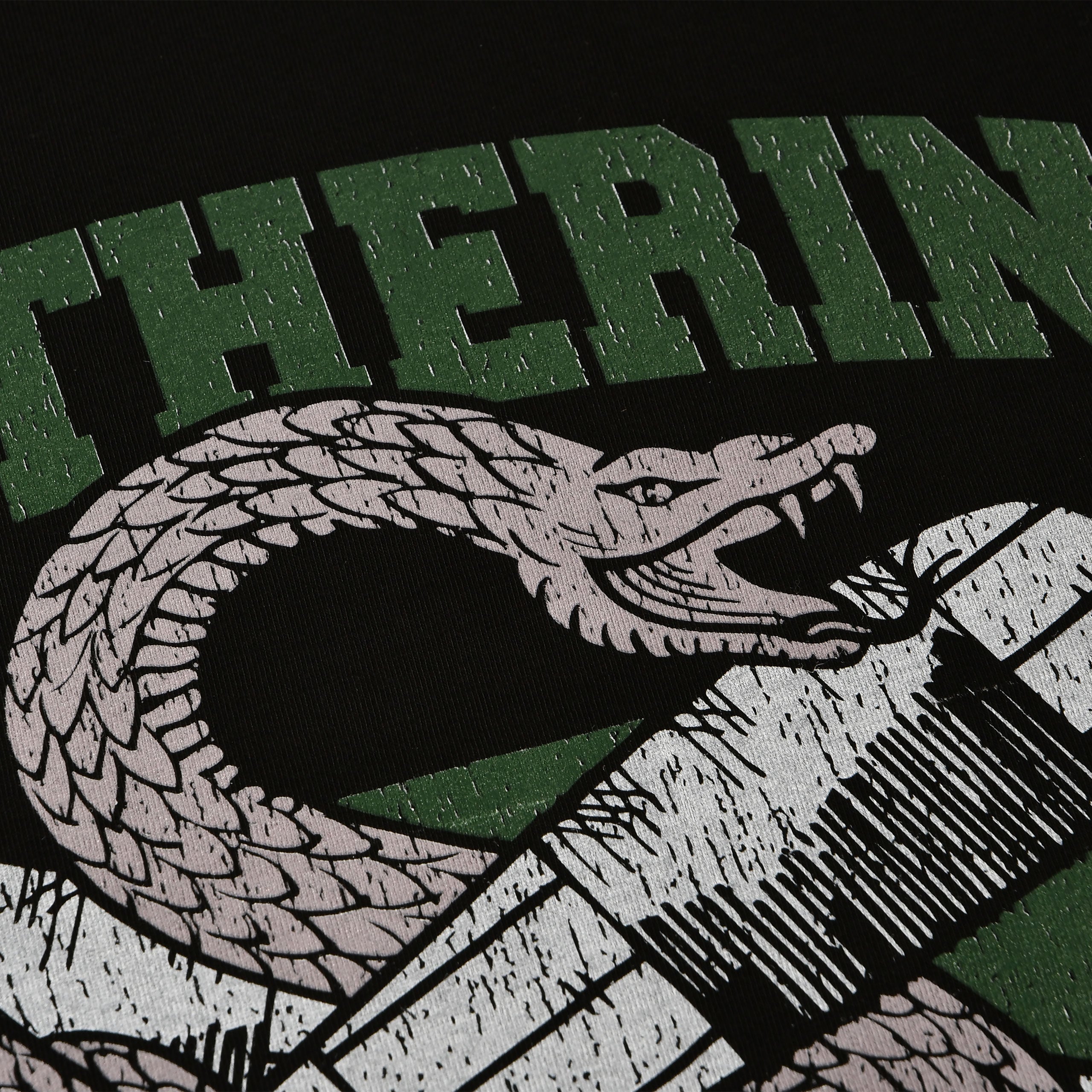 Zdjęcie produktu Slytherin Quidditch College T-Shirt czarne - Harry Potter