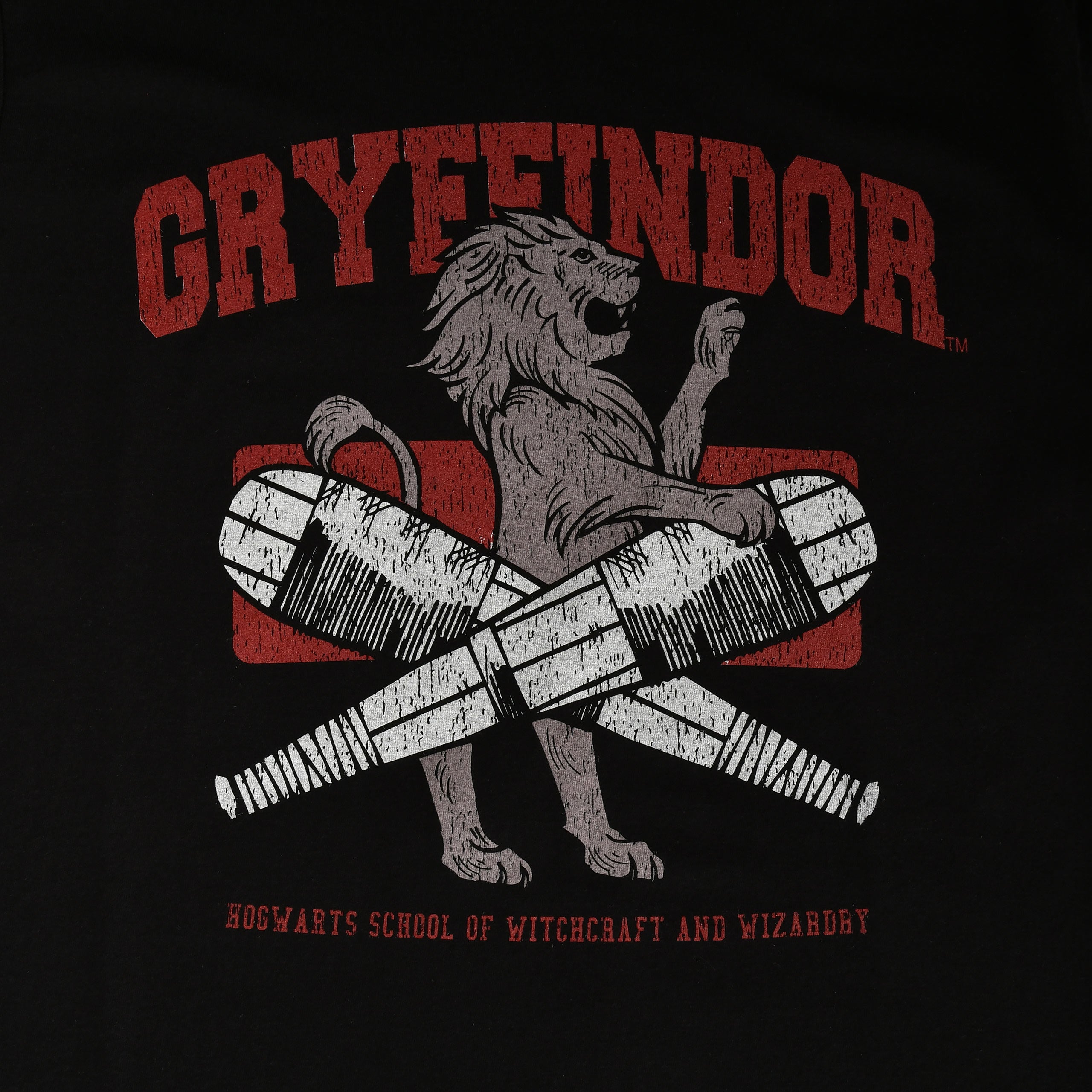 Product image Gryffindor Quidditch College T-Shirt Black - Harry Potter