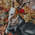Zdjęcie produktu Oblubienica czarnoksiężnika - Figurka Elias Ainsworth