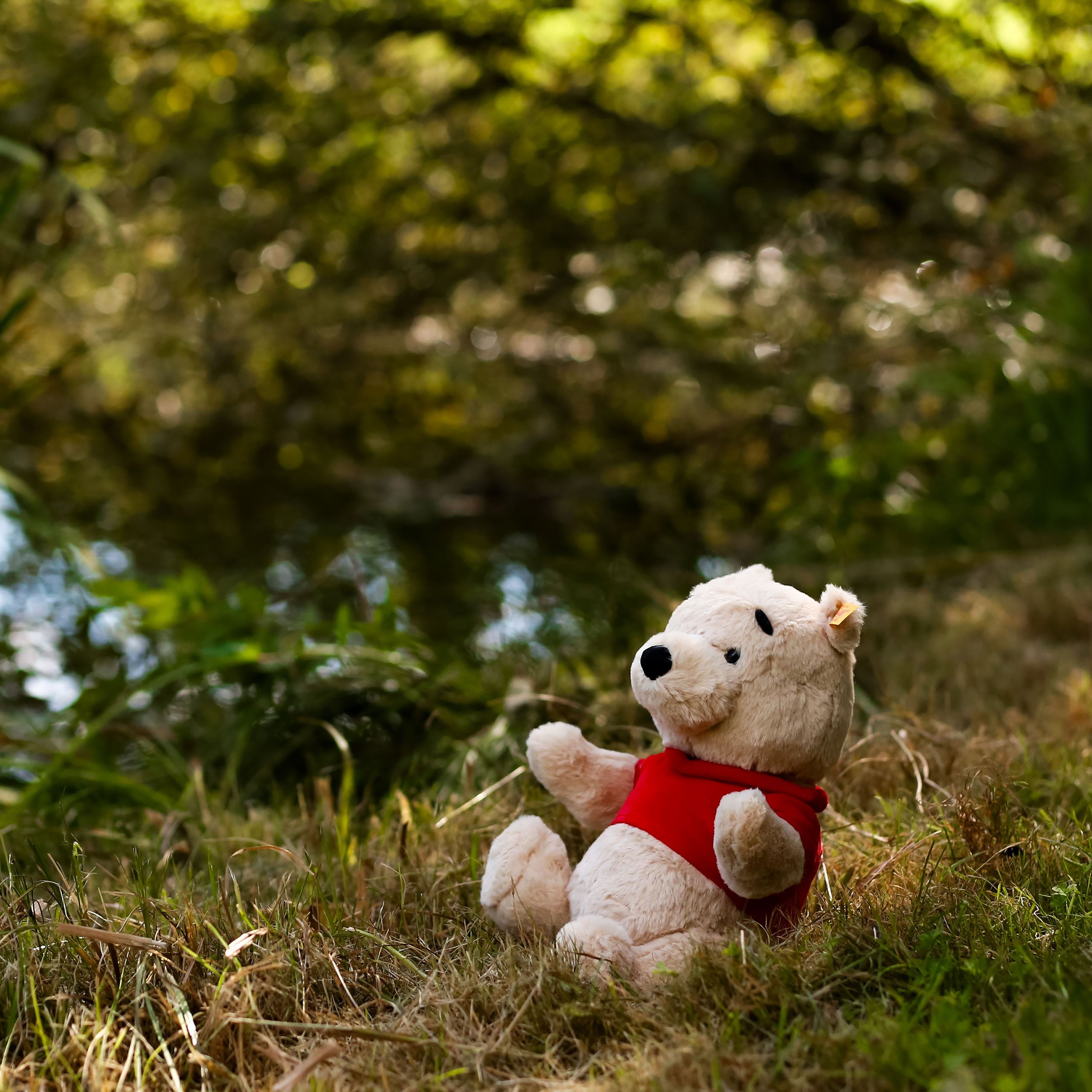Product image Winnie the Pooh - Collector's Figure by Steiff