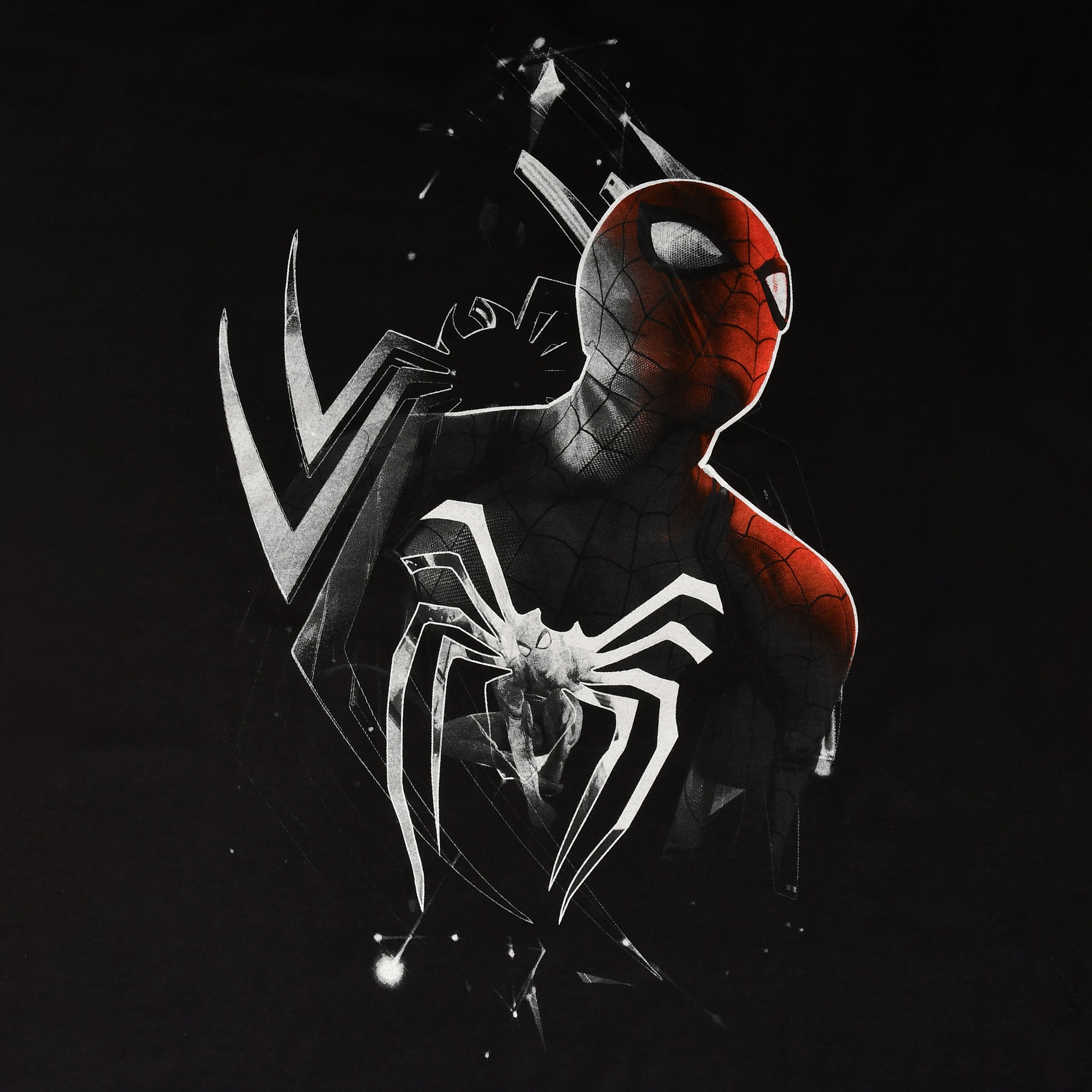 Product image Spider-Man - Dimension T-Shirt Black
