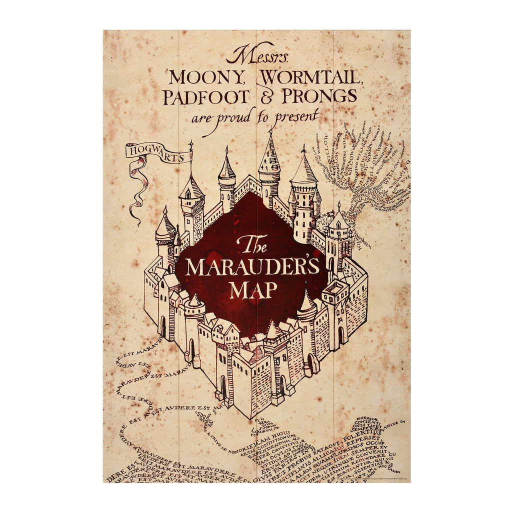 Zdjęcie produktu Harry Potter - Mapa Huncwotów Obraz na Drewnie