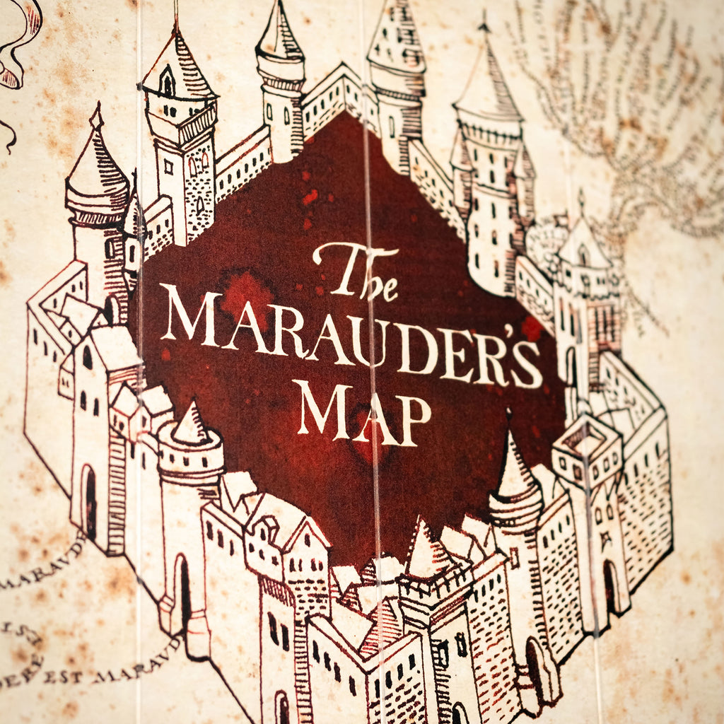 Zdjęcie produktu Harry Potter - Mapa Huncwotów Obraz na Drewnie
