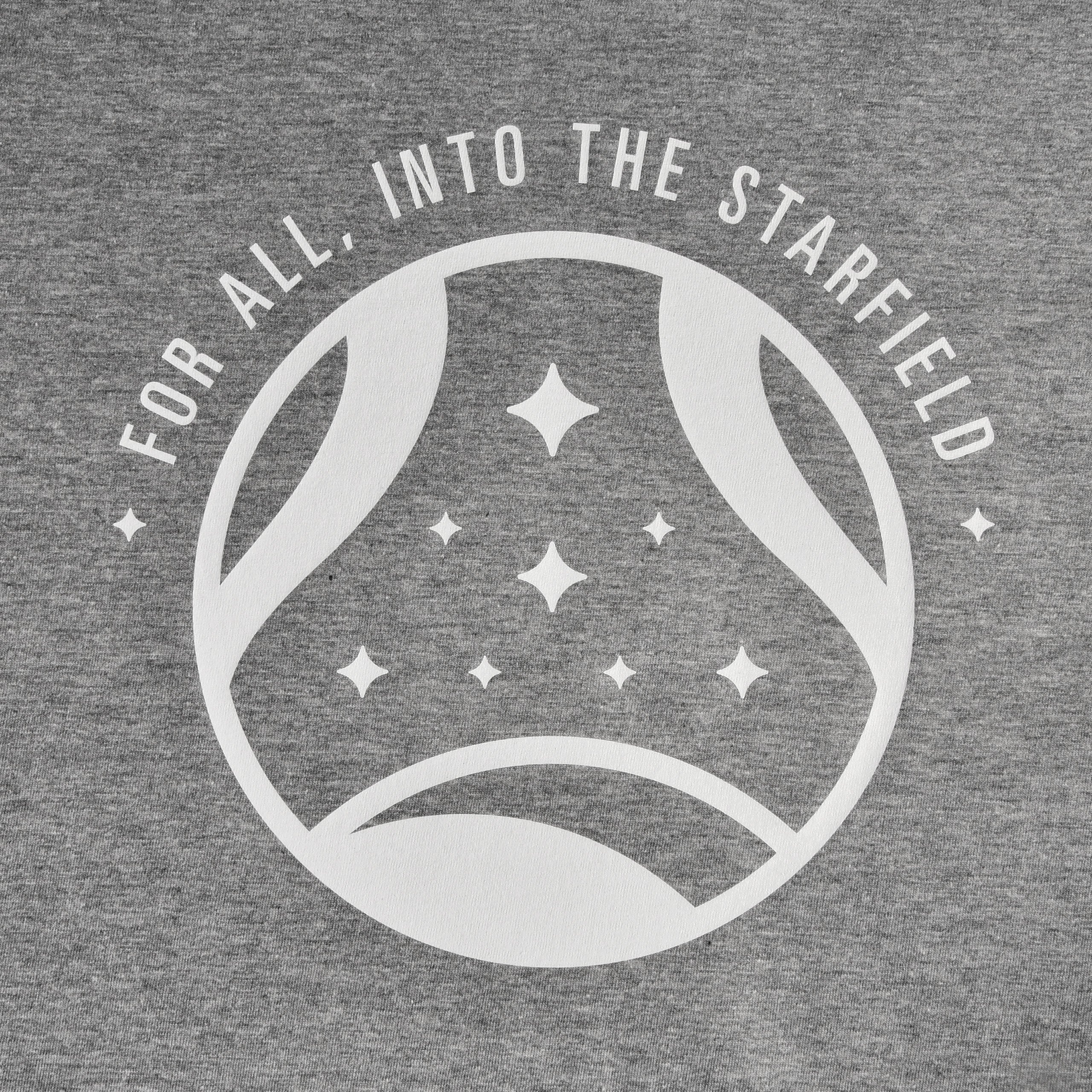 Zdjęcie produktu Starfield - Into The Starfield T-Shirt szary