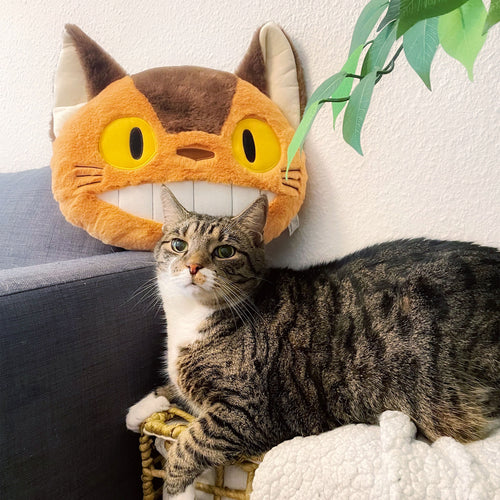 Zdjęcie produktu Totoro - Poduszka Pluszowa Kotobus Nakayoshi