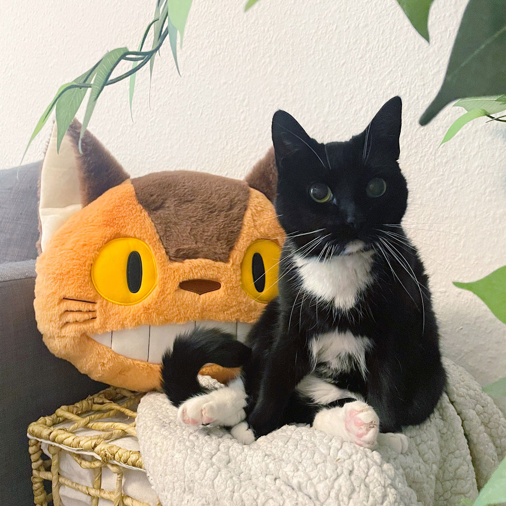 Product image Totoro - Catbus Nakayoshi Plush Pillow