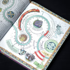 Product image The magical world of Harry Potter - The official handbook