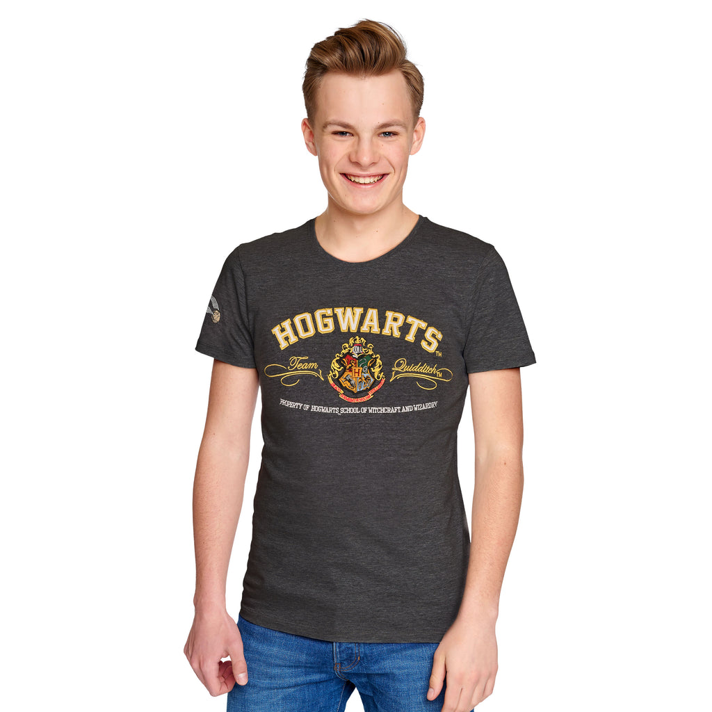 Zdjęcie produktu Harry Potter - Premium koszulka Hogwarts szary