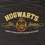 Zdjęcie produktu Harry Potter - Premium koszulka Hogwarts szary