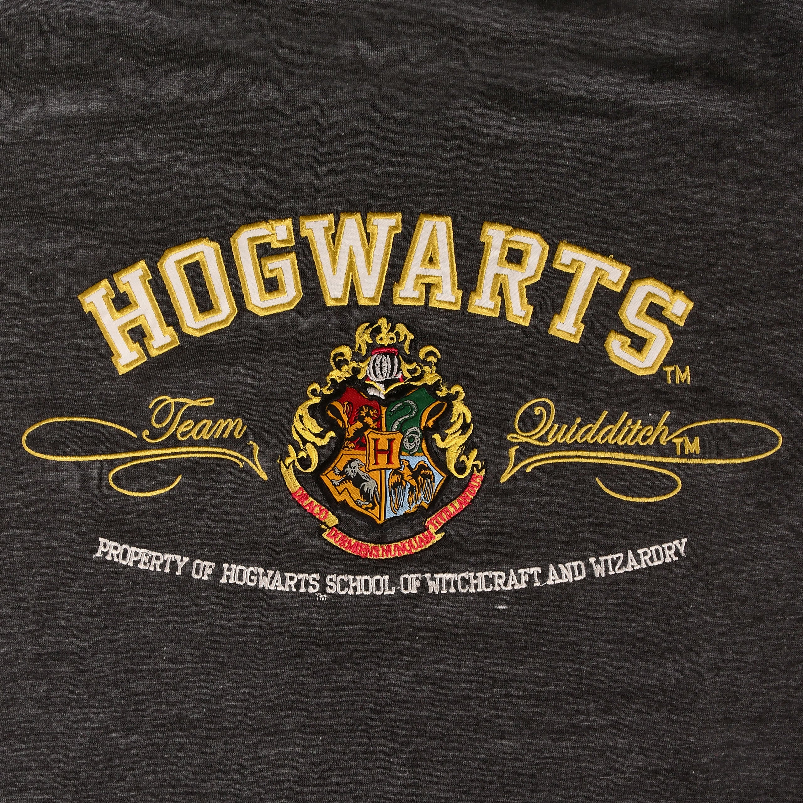 Zdjęcie produktu Harry Potter - Premium koszulka Hogwarts szary