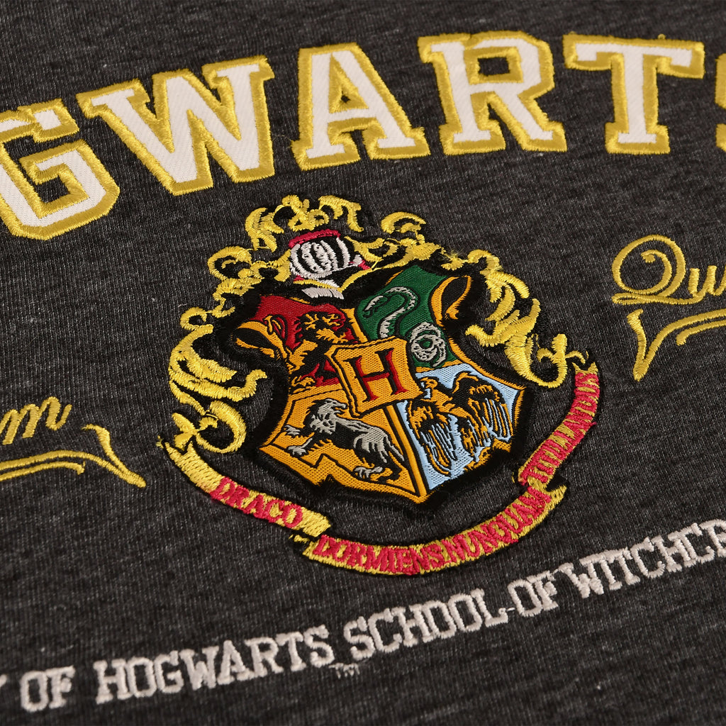 Zdjęcie produktu Harry Potter - Premium koszulka Hogwarts szary
