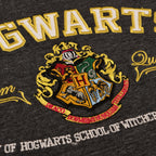Zdjęcie produktu Harry Potter - Premium koszulka Hogwarts szary