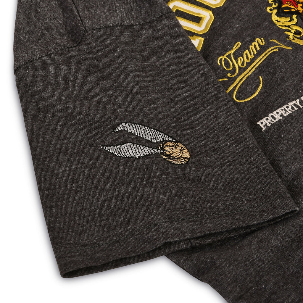 Zdjęcie produktu Harry Potter - Premium koszulka Hogwarts szary