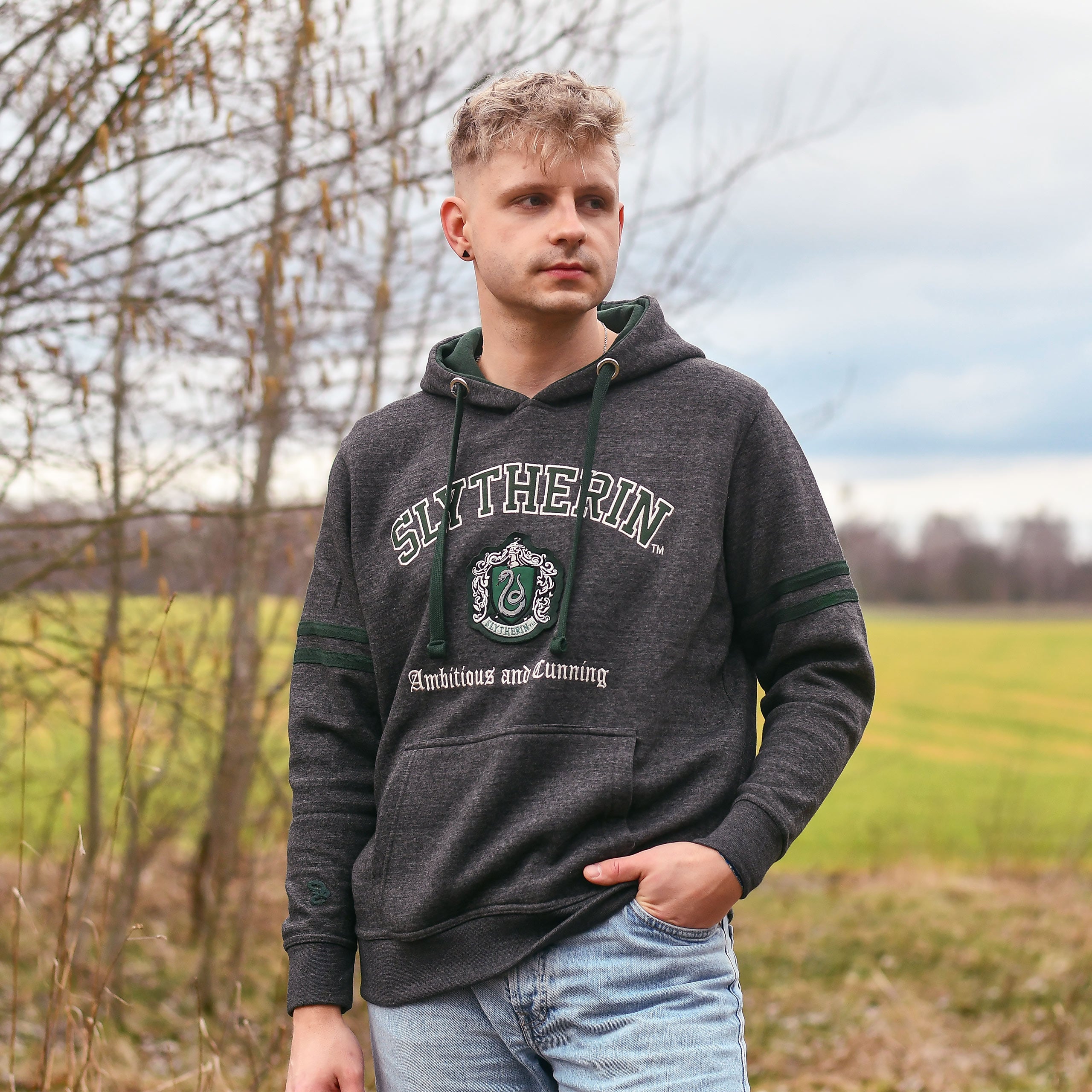 Zdjęcie produktu Harry Potter - Slytherin Herb Premium Bluza z Kapturem Szara