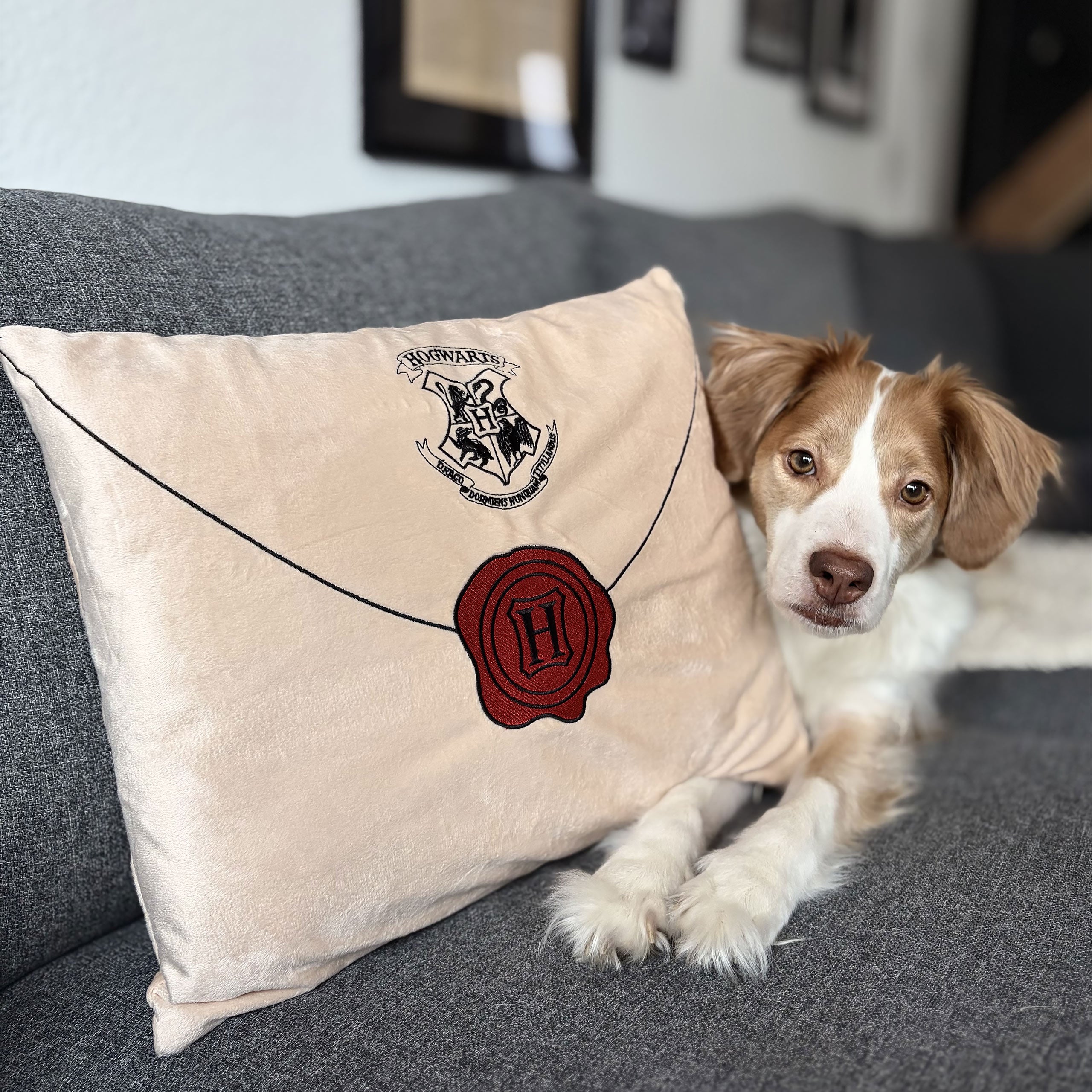 Zdjęcie produktu Harry Potter - Poduszka List z Hogwartu