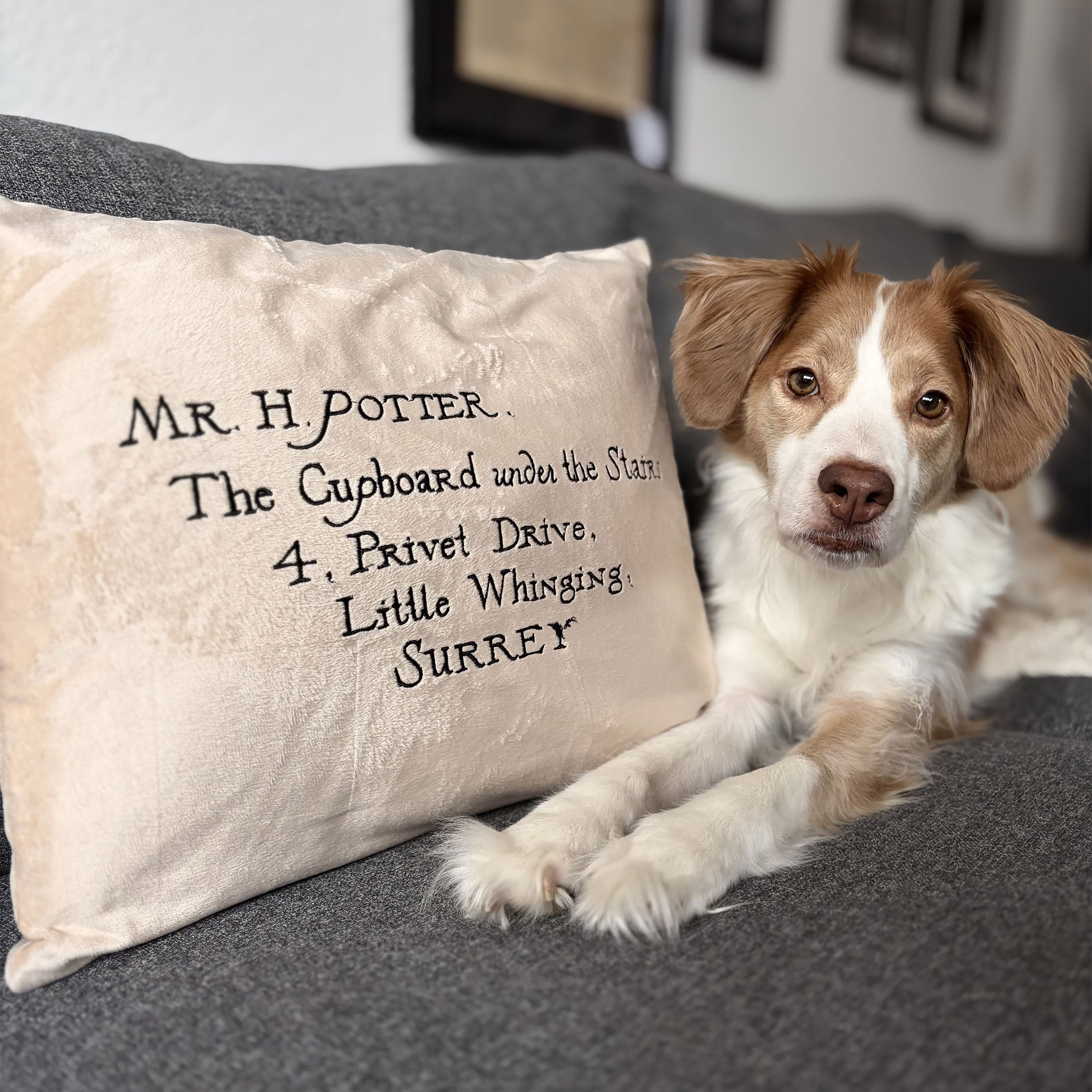 Zdjęcie produktu Harry Potter - Poduszka List z Hogwartu