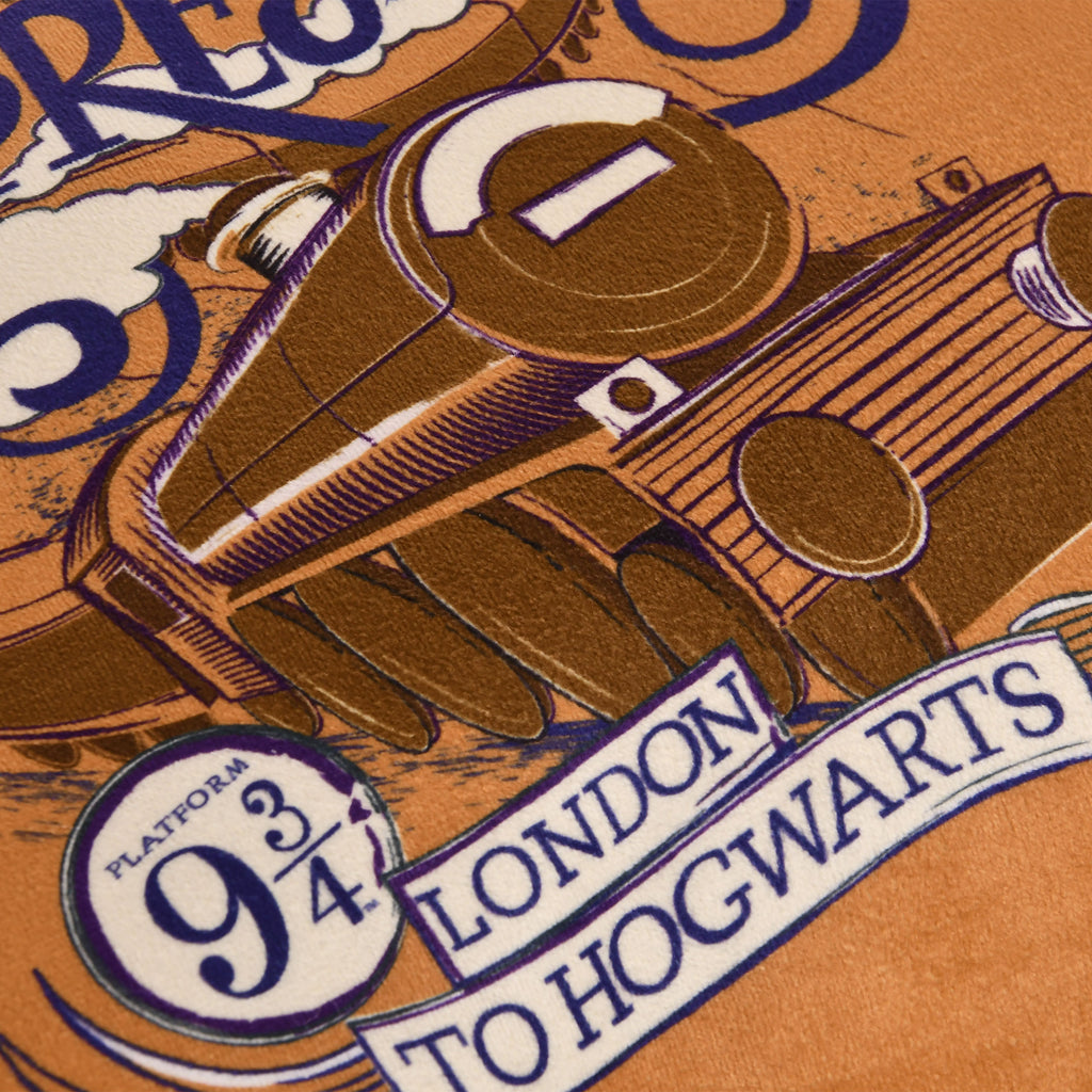 Zdjęcie produktu Harry Potter - Poduszka Hogwarts Express