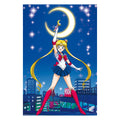 Zdjęcie produktu Sailor Moon - Postać Maxi Plakat