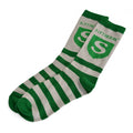 Product image Harry Potter - Slytherin Logo Socks green-gray